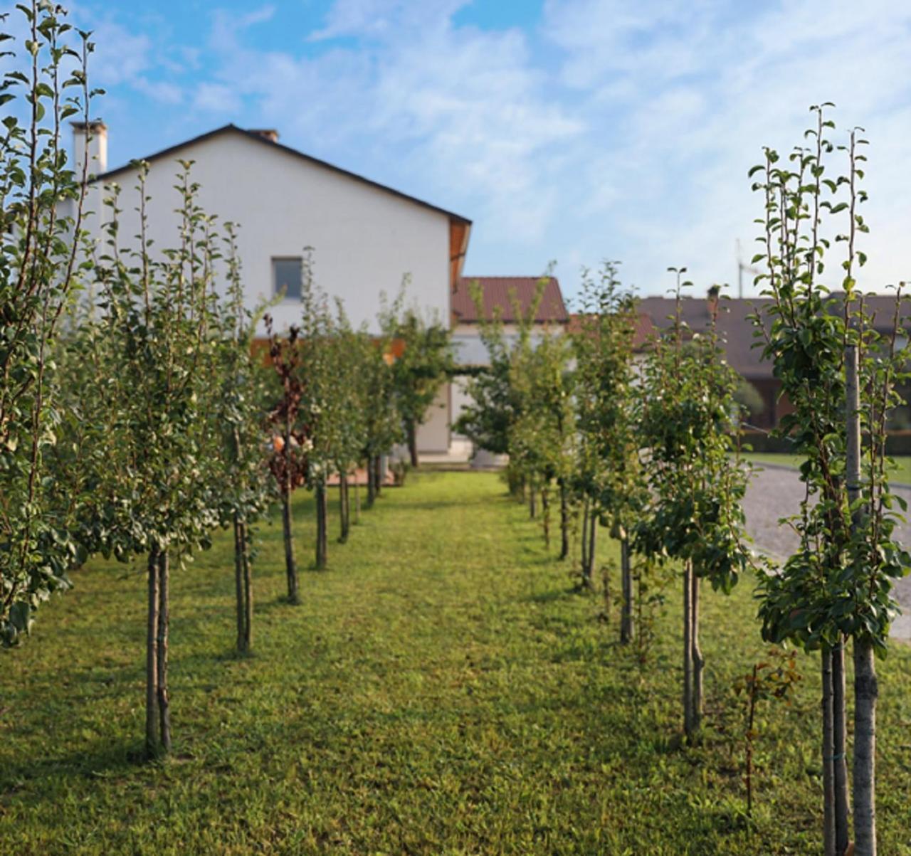 Agriturismo Corte Foscara Malcontenta Luaran gambar